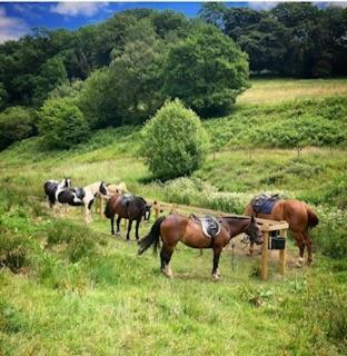 Tarr Farm Inn Liscombe ภายนอก รูปภาพ