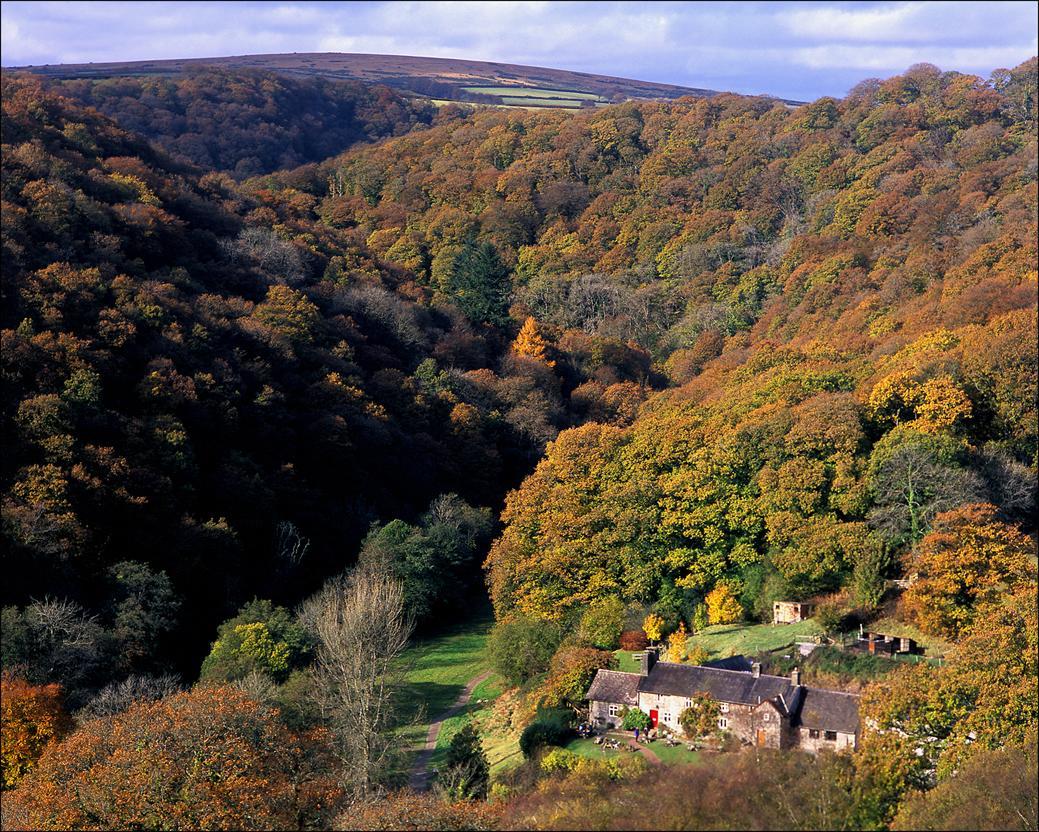 Tarr Farm Inn Liscombe ภายนอก รูปภาพ